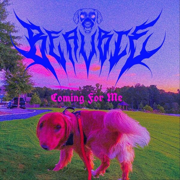 Cover art for Coming for Me